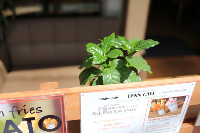 Terrace（テラス）レンカフェ（LENN-CAFE）3